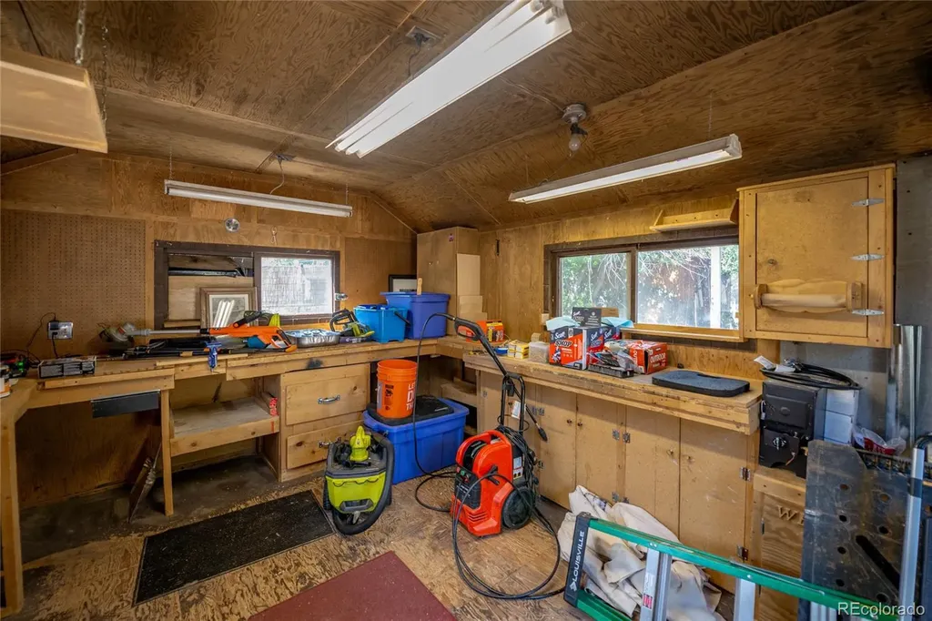 619 James Place Buena Vista CO 81211