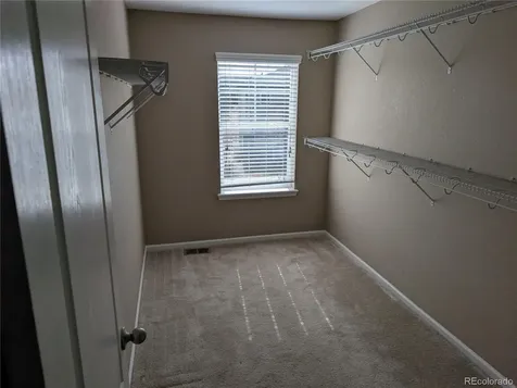 2633 Garganey Drive Castle Rock CO 80104