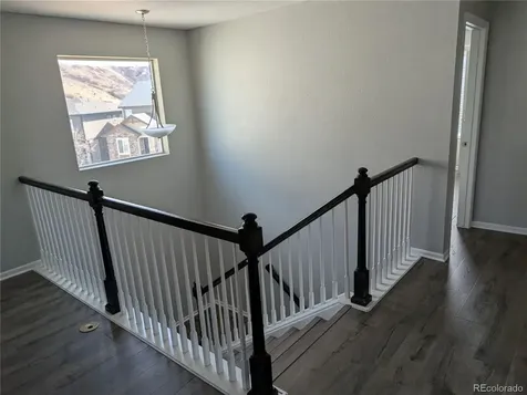 2633 Garganey Drive Castle Rock CO 80104