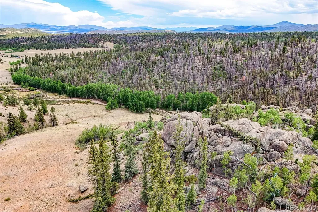 1111 Latigo Loop Guffey CO 80820