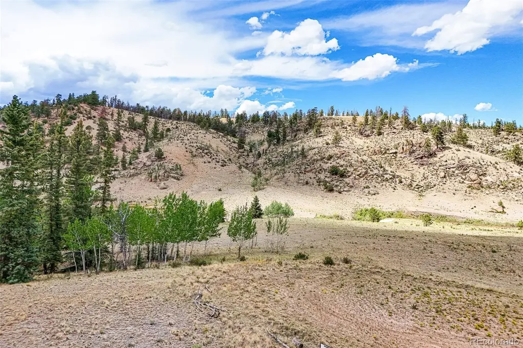 1111 Latigo Loop Guffey CO 80820