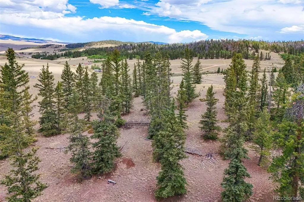 1111 Latigo Loop Guffey CO 80820