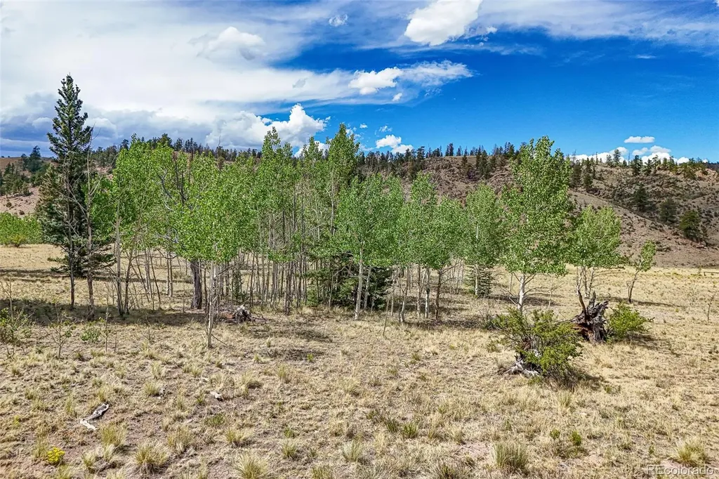1111 Latigo Loop Guffey CO 80820