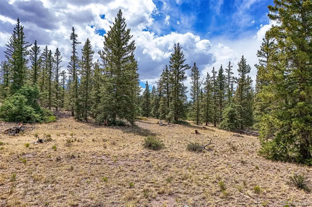 1111 Latigo Loop Guffey CO 80820