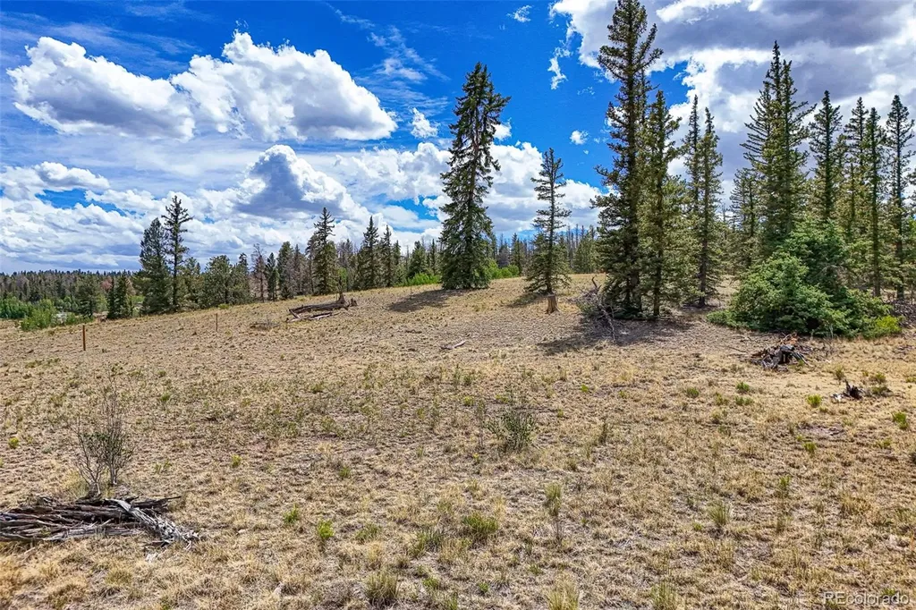 1111 Latigo Loop Guffey CO 80820