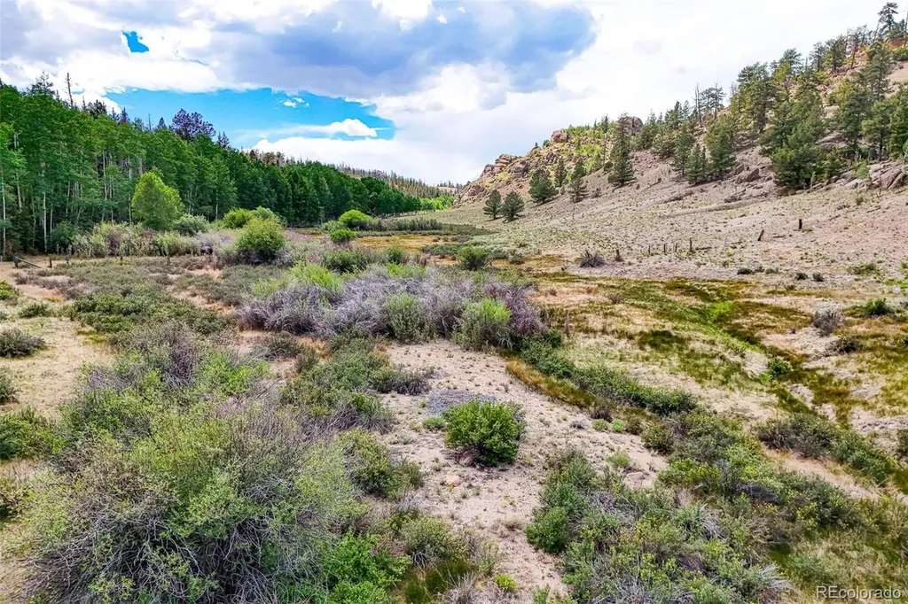 1111 Latigo Loop Guffey CO 80820