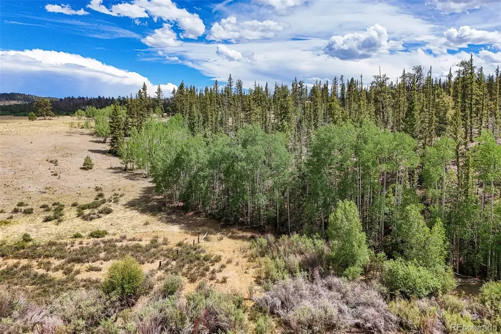 1111 Latigo Loop Guffey CO 80820
