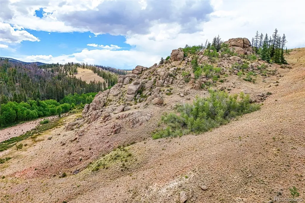 1111 Latigo Loop Guffey CO 80820