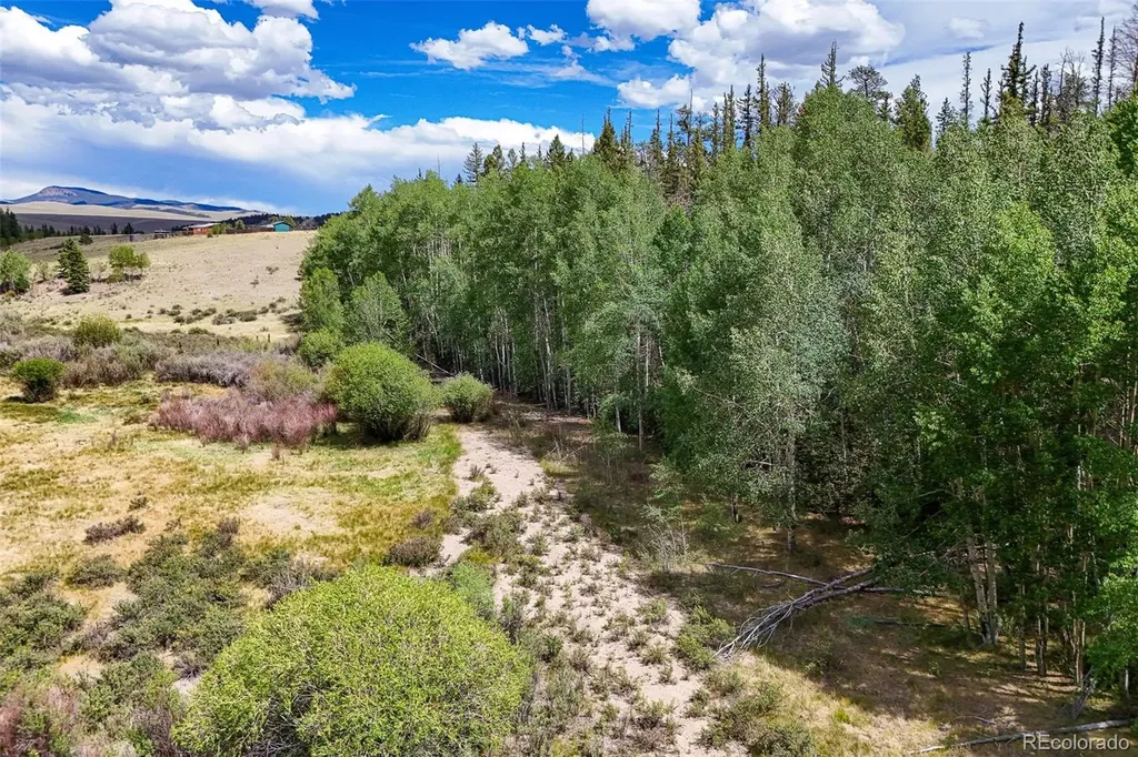 1111 Latigo Loop Guffey CO 80820