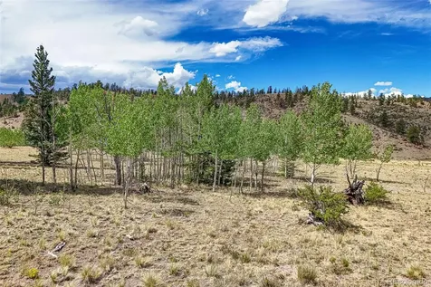 1111 Latigo Loop Hartsel CO 80820