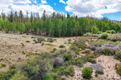 1111 Latigo Loop Hartsel CO 80820