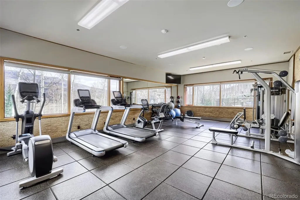 836 Maryland Creek Road Silverthorne CO 80498