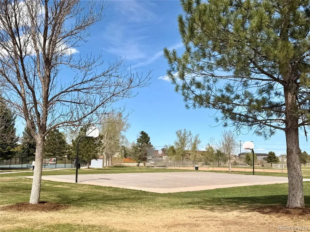 941 Sundown Drive Castle Rock CO 80104