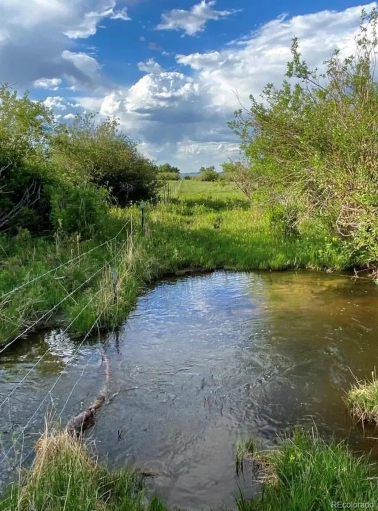 Lot 2 County Road 119 Westcliffe CO 81252