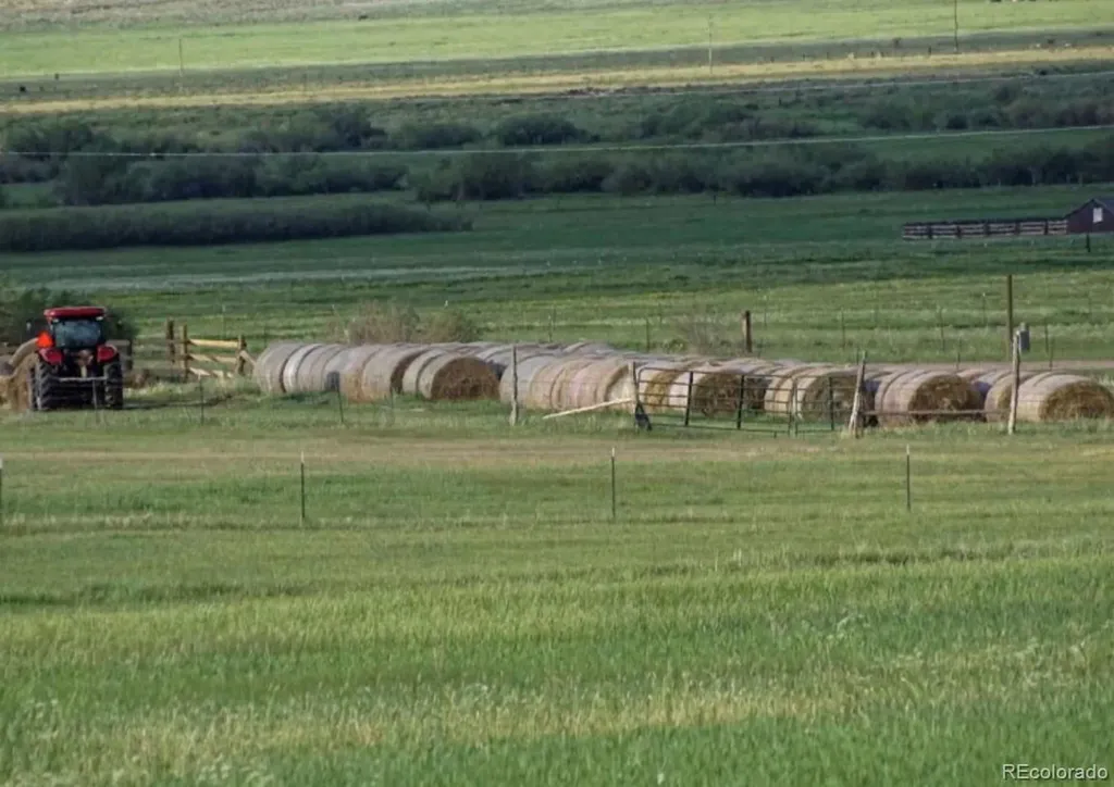 Lot 2 County Road 119 Westcliffe CO 81252