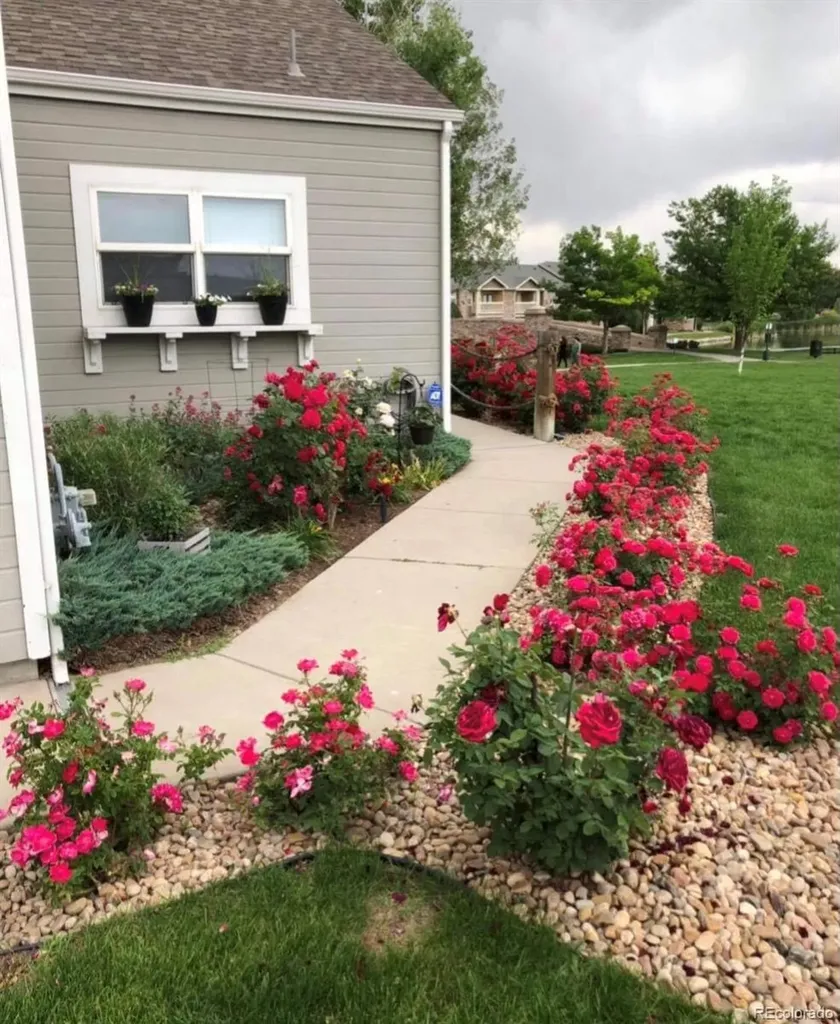 15555 E 40th Avenue Denver CO 80239
