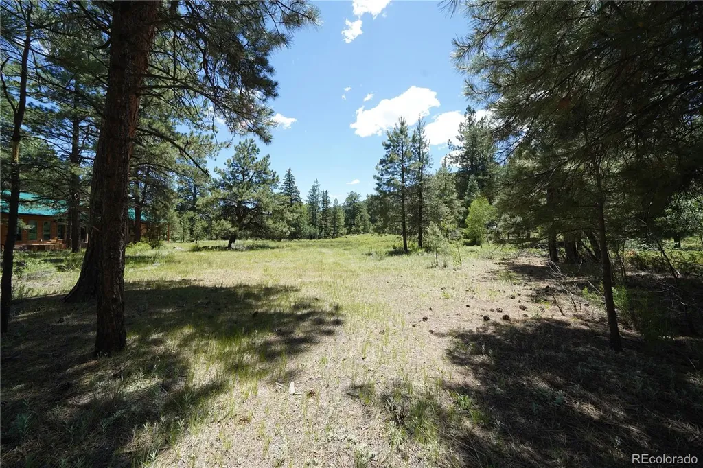 136 Elk Meadow Run Antonito CO 81120