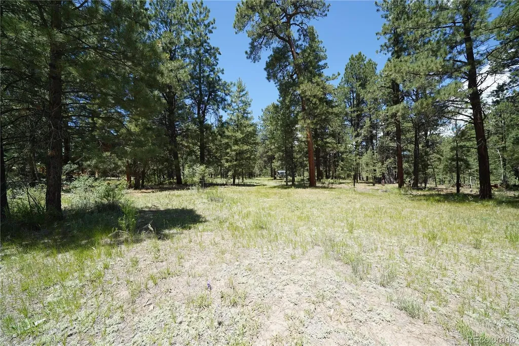 136 Elk Meadow Run Antonito CO 81120
