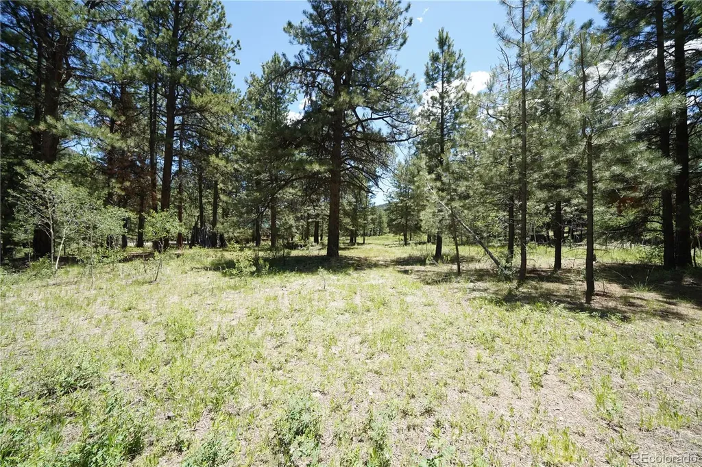 136 Elk Meadow Run Antonito CO 81120