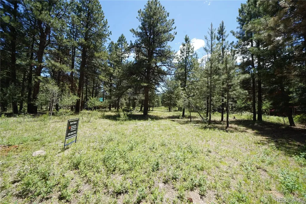 136 Elk Meadow Run Antonito CO 81120