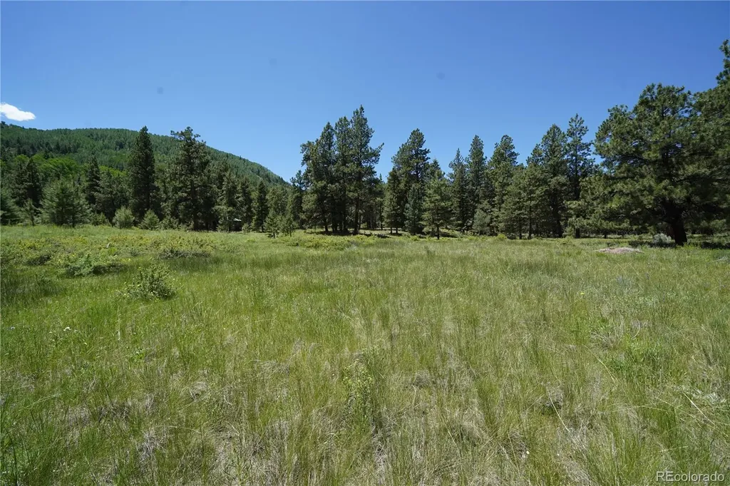 136 Elk Meadow Run Antonito CO 81120
