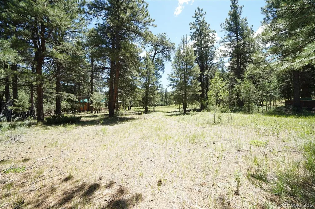 136 Elk Meadow Run Antonito CO 81120
