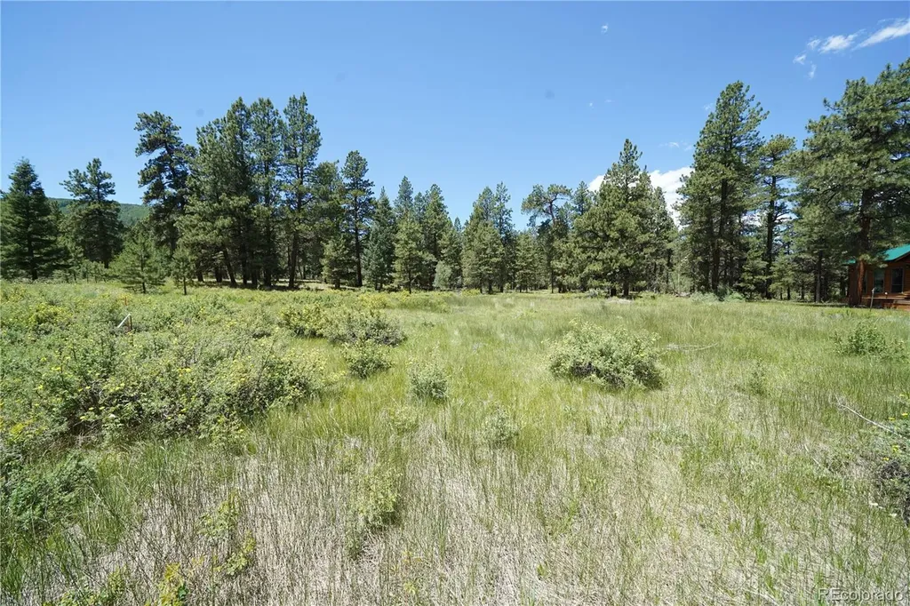 136 Elk Meadow Run Antonito CO 81120