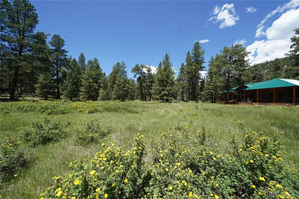 136 Elk Meadow Run Antonito CO 81120