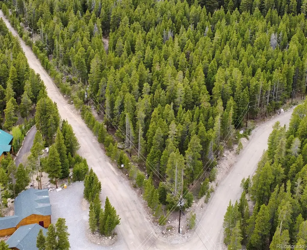 1090 Alice Road Idaho Springs CO 80452