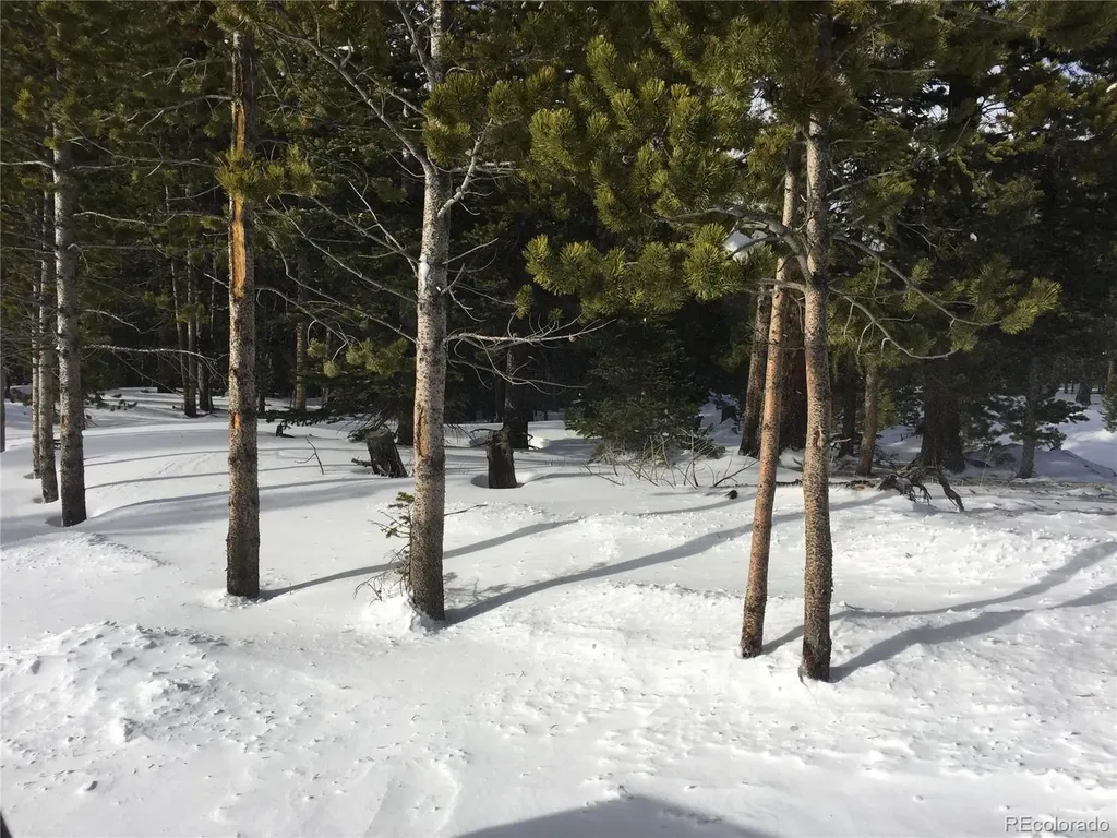 1090 Alice Road Idaho Springs CO 80452
