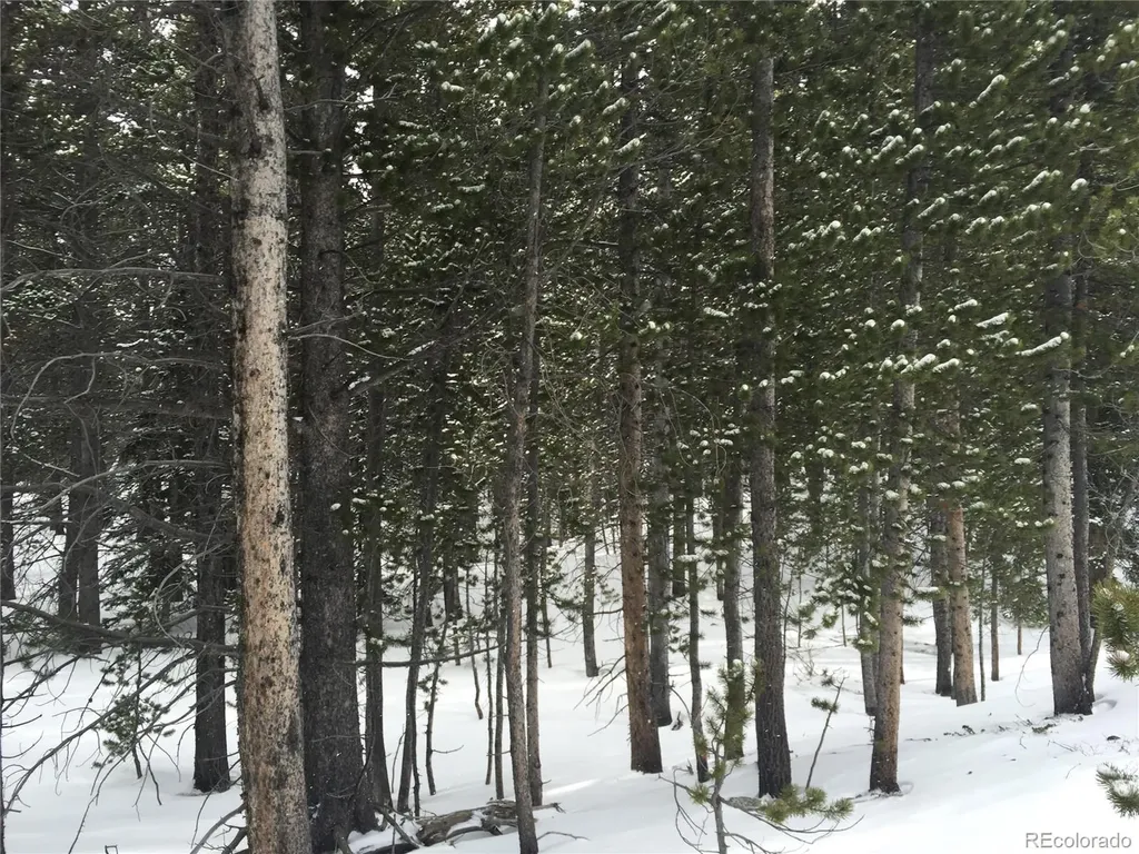 1090 Alice Road Idaho Springs CO 80452