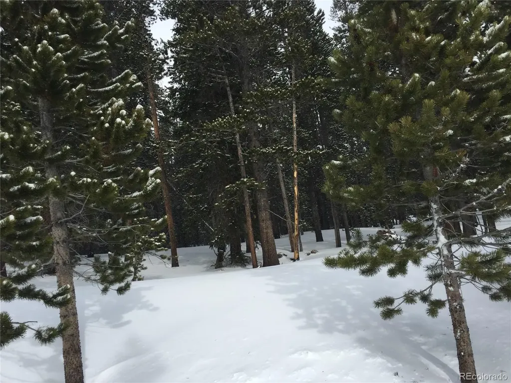 1090 Alice Road Idaho Springs CO 80452