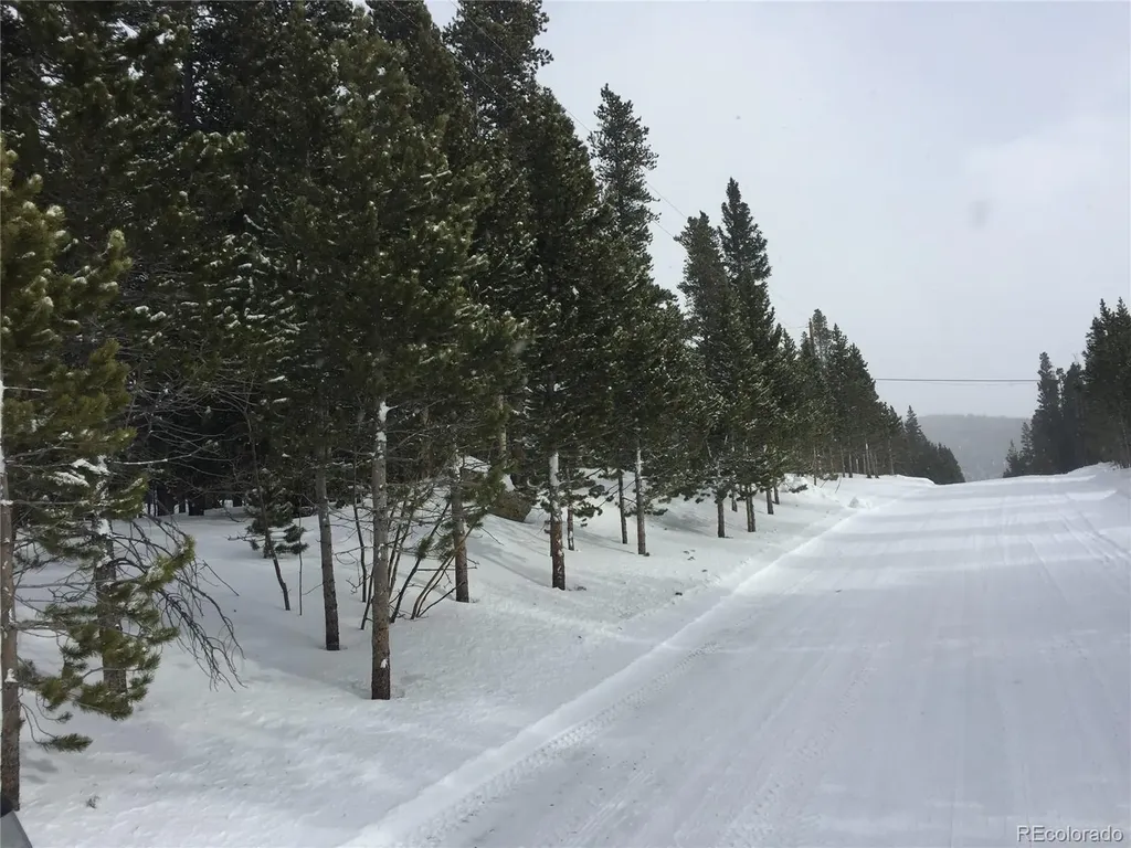 1090 Alice Road Idaho Springs CO 80452