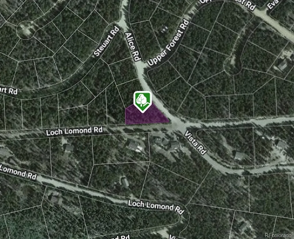 1090 Alice Road Idaho Springs CO 80452