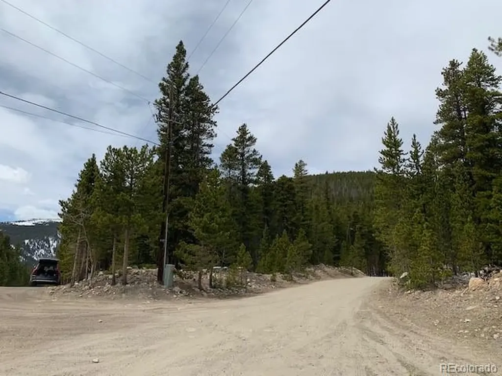 1090 Alice Road Idaho Springs CO 80452
