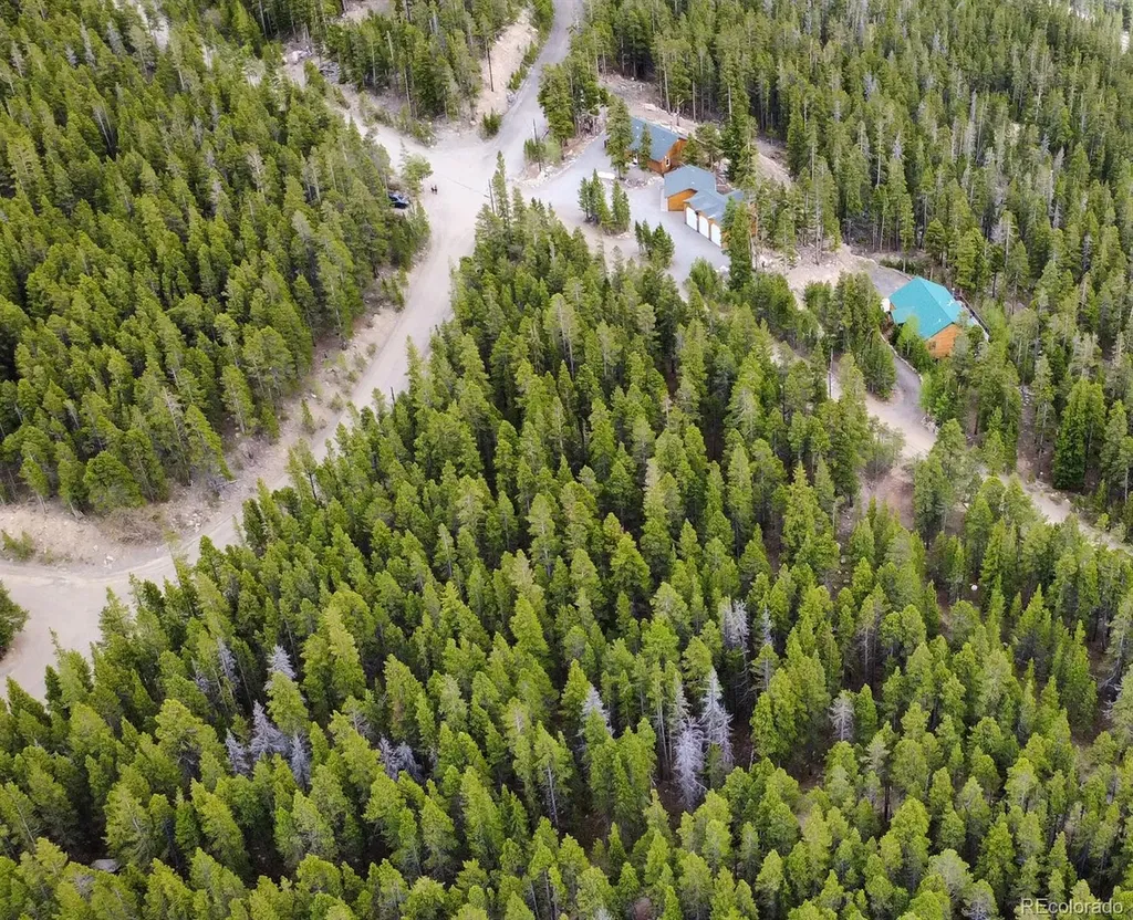 1090 Alice Road Idaho Springs CO 80452
