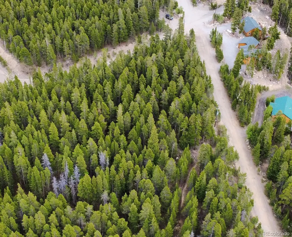 1090 Alice Road Idaho Springs CO 80452