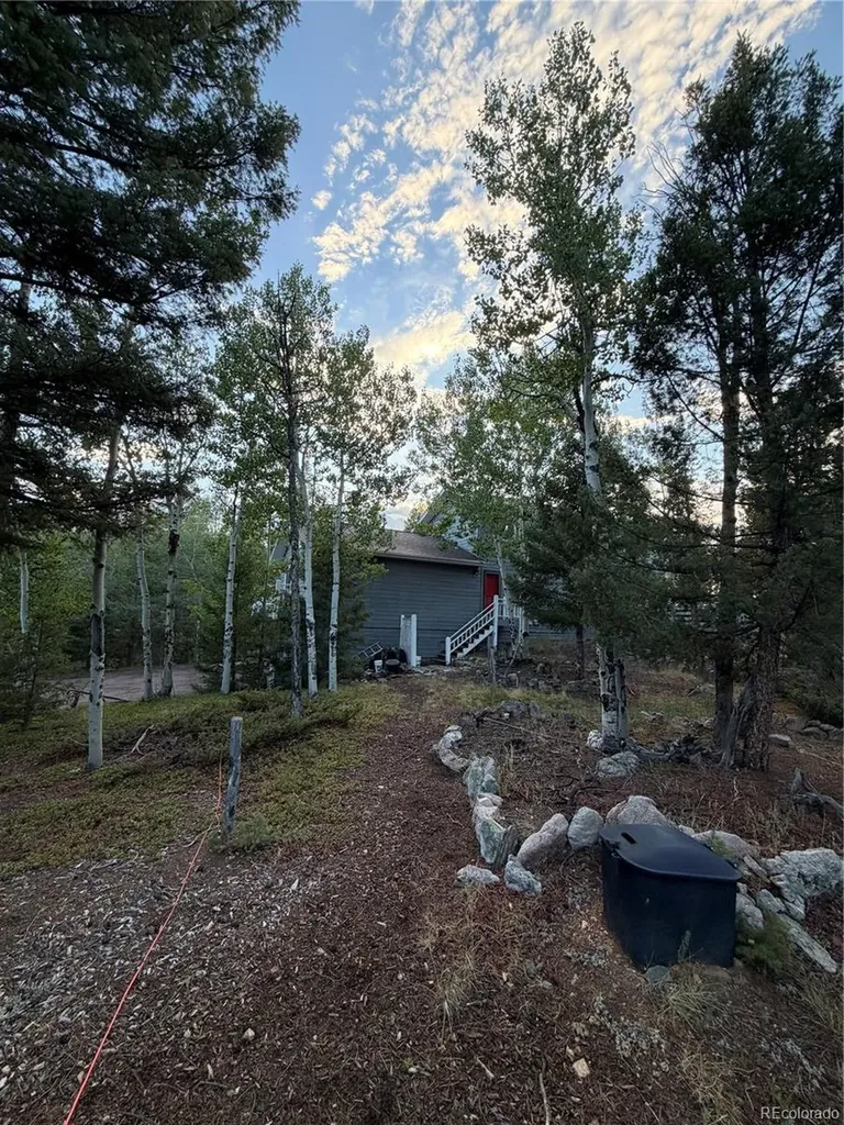 11223 S Barney Gulch Road Conifer CO 80433
