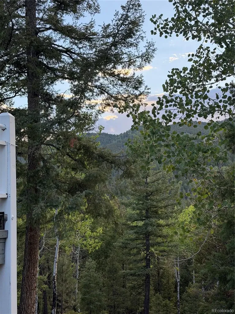 11223 S Barney Gulch Road Conifer CO 80433