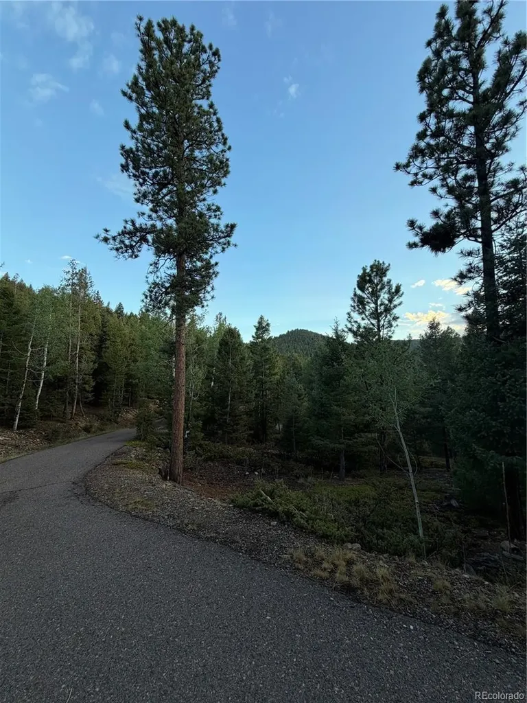11223 S Barney Gulch Road Conifer CO 80433