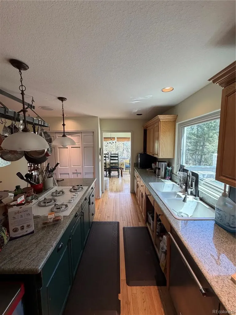 11223 S Barney Gulch Road Conifer CO 80433