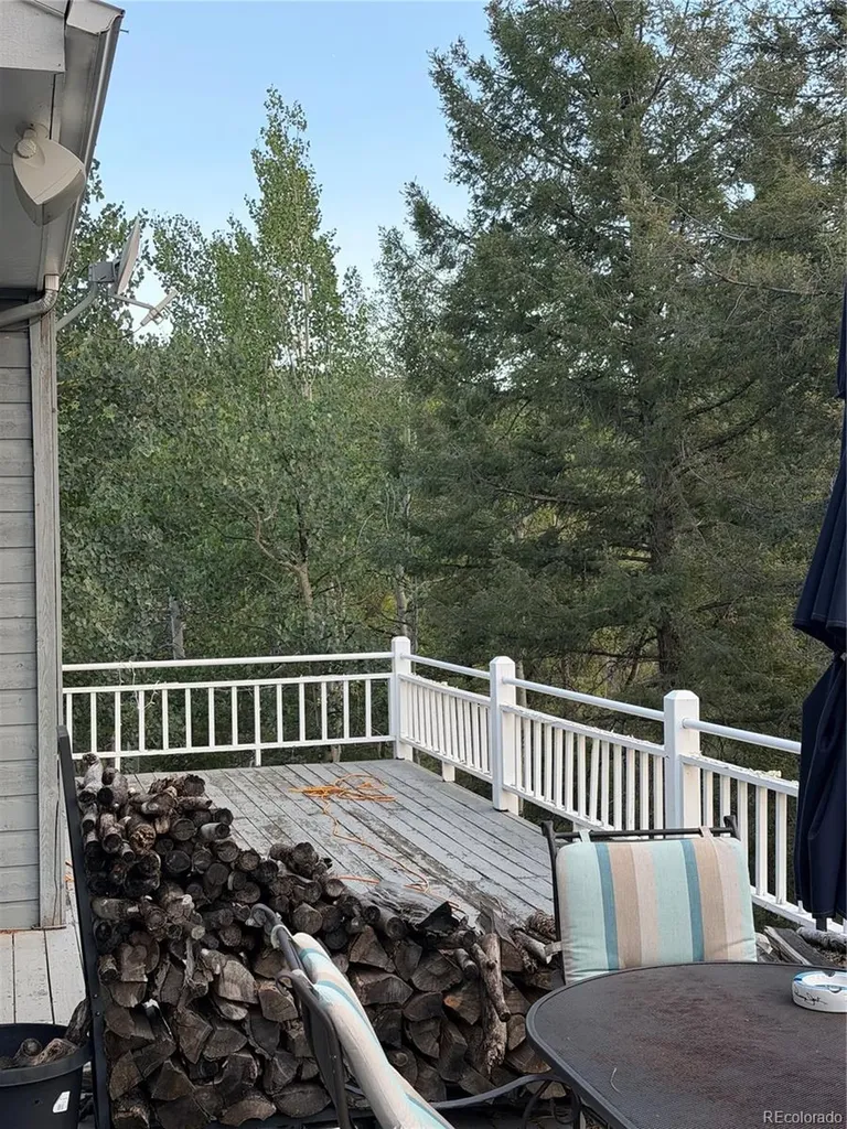 11223 S Barney Gulch Road Conifer CO 80433