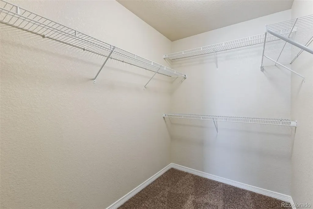 7916 Lightwood Way Colorado Springs CO 80908