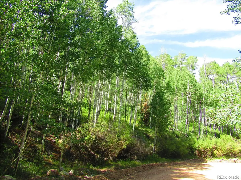 Lot 6295 Malcolm Road San Luis CO 81152