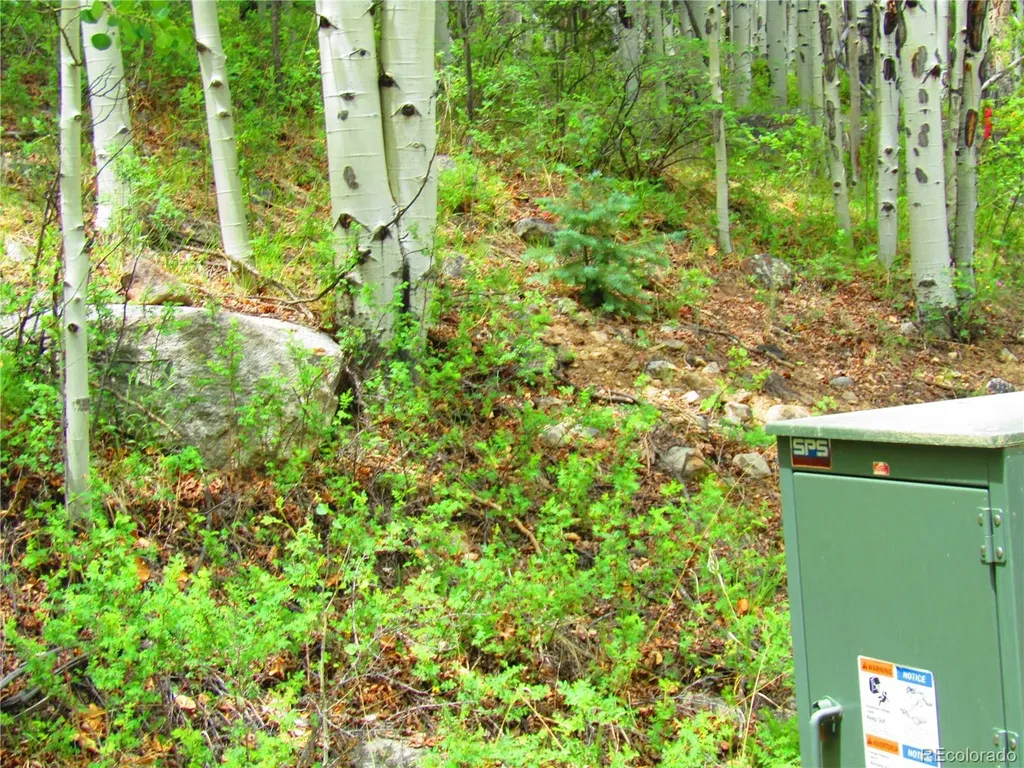 Lot 6295 Malcolm Road San Luis CO 81152