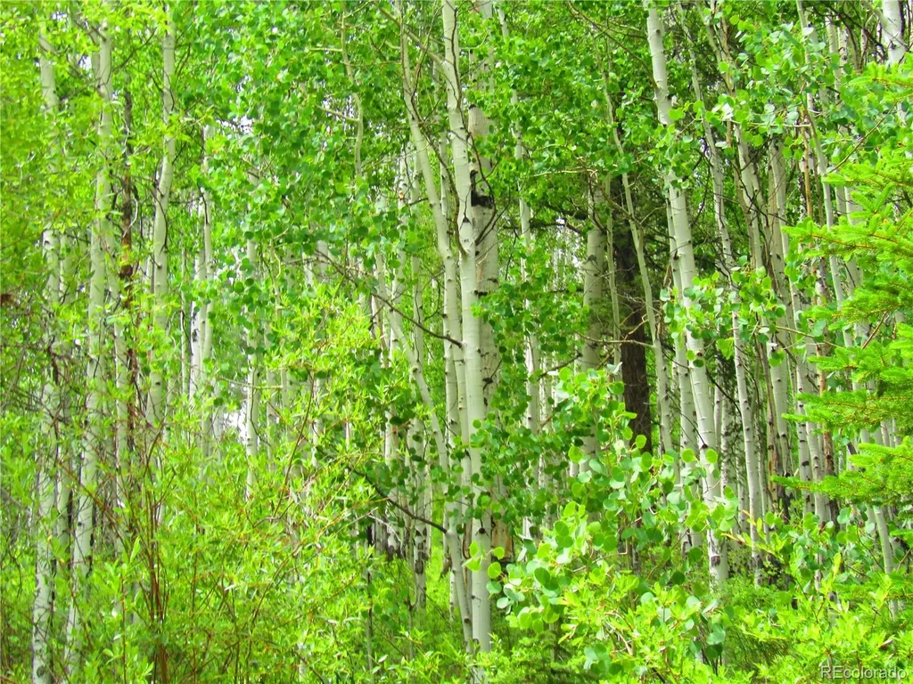 Lot 6295 Malcolm Road San Luis CO 81152