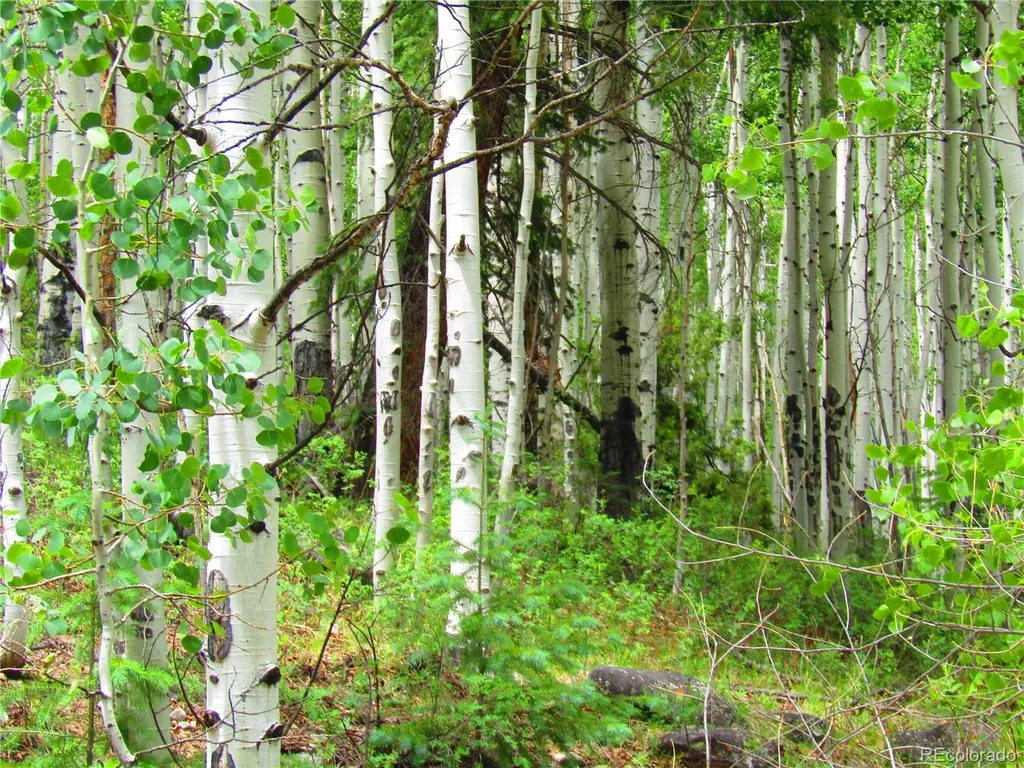 Lot 6295 Malcolm Road San Luis CO 81152