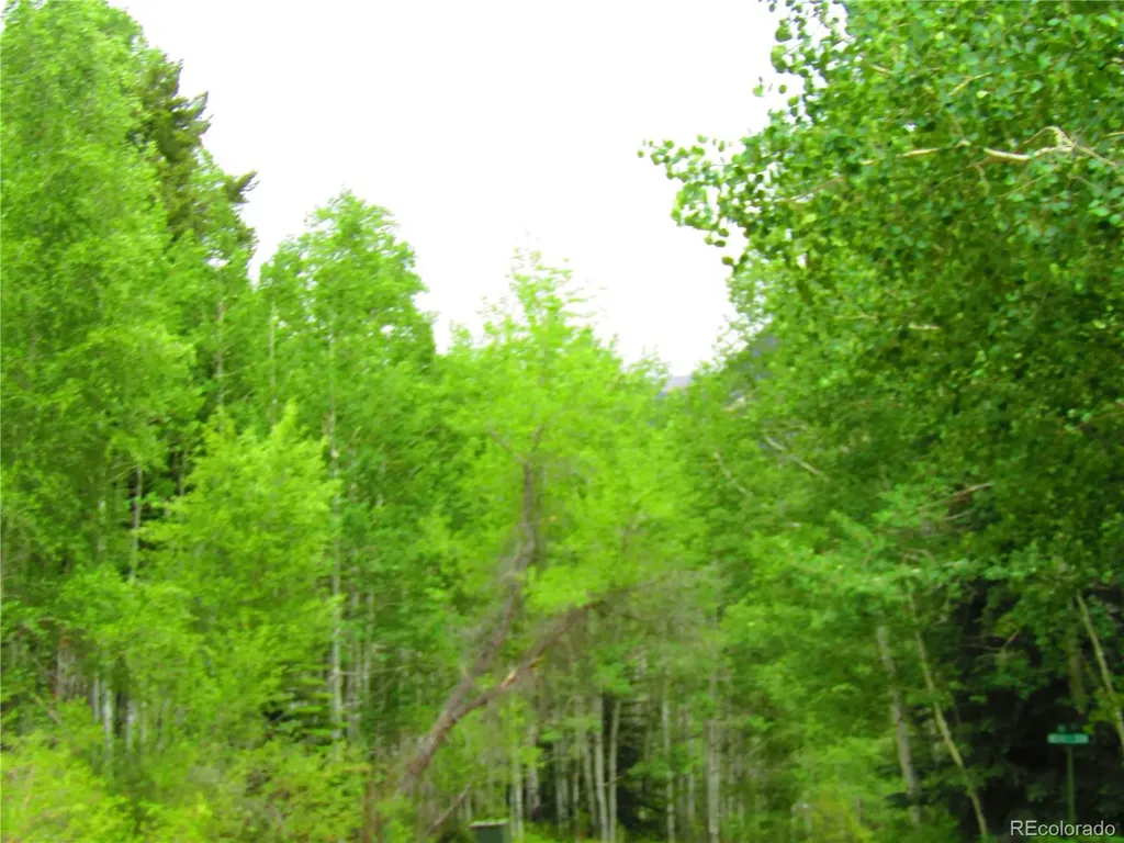 Lot 6295 Malcolm Road San Luis CO 81152