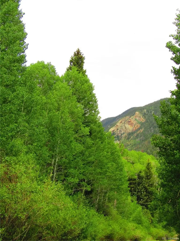 Lot 6295 Malcolm Road San Luis CO 81152