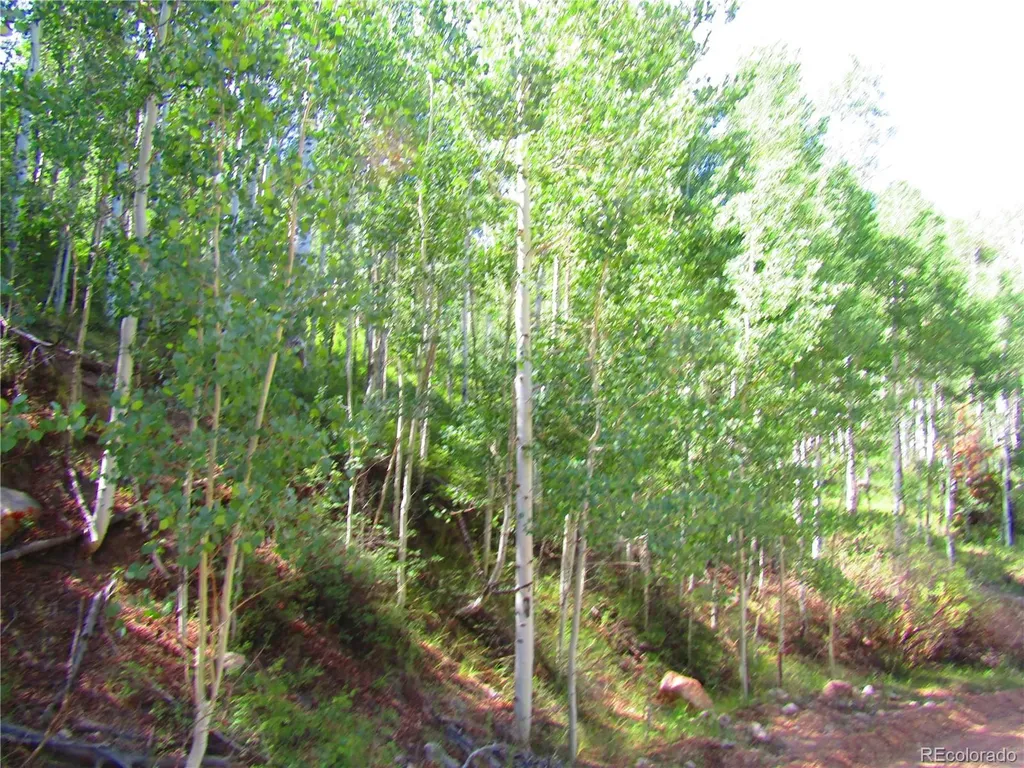 Lot 6295 Malcolm Road San Luis CO 81152